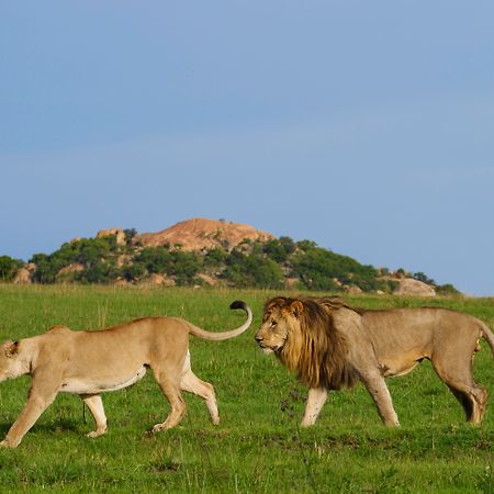 Nkomazi Game Reserve By Newmark Бадплаас Екстериор снимка