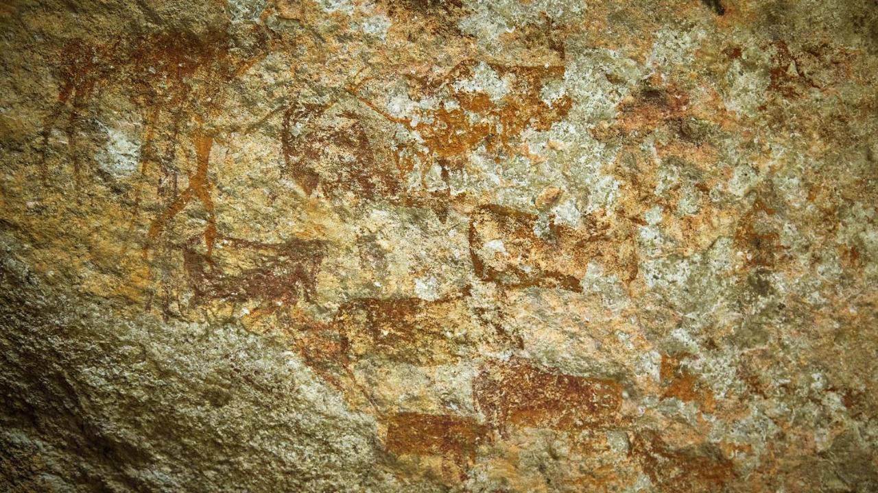 Nkomazi Game Reserve By Newmark Бадплаас Екстериор снимка
