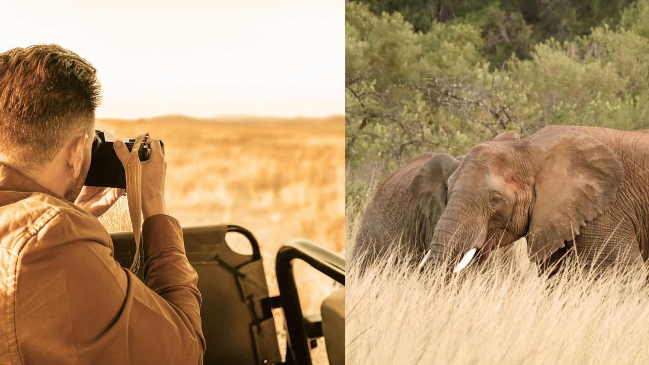 Nkomazi Game Reserve By Newmark Бадплаас Екстериор снимка